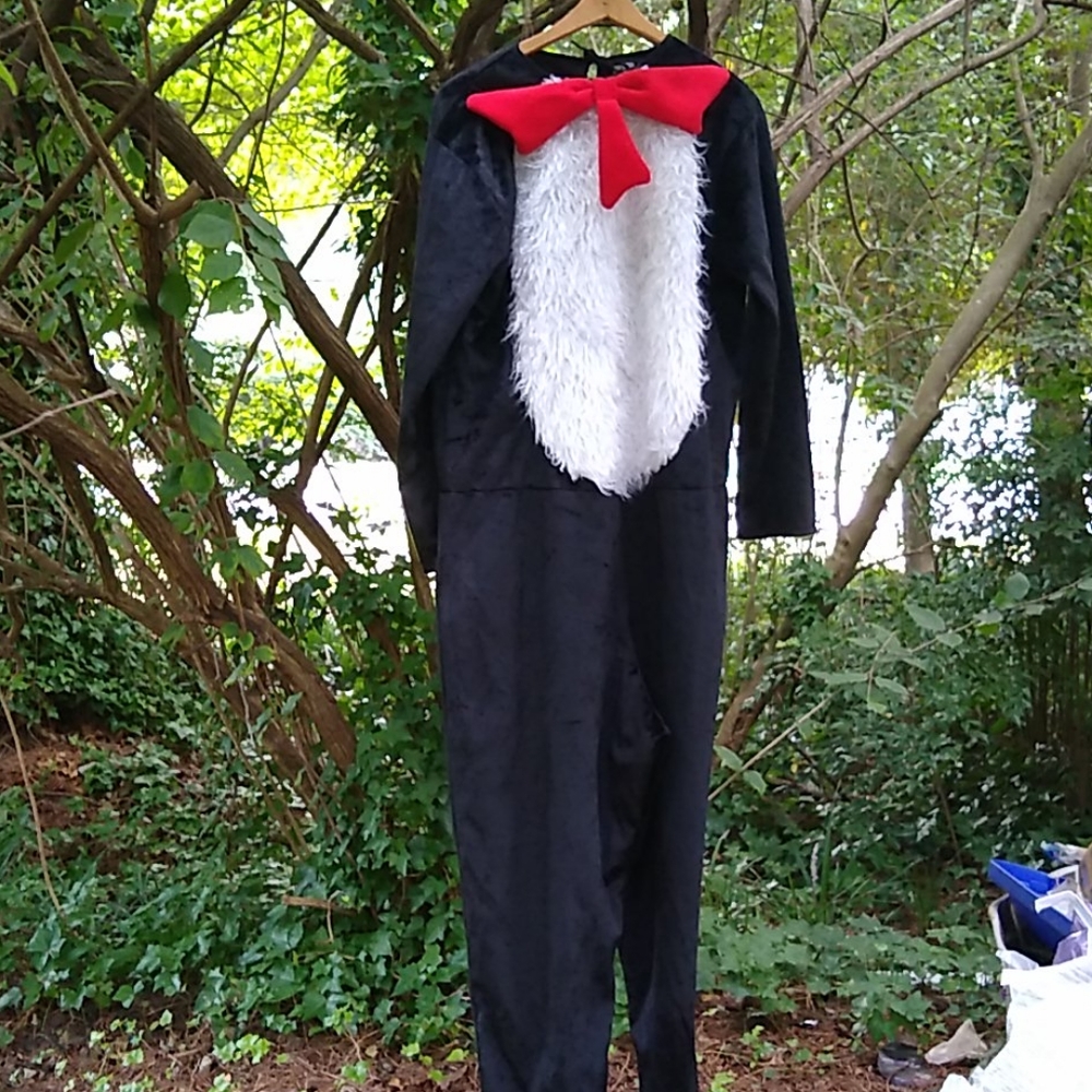 Dr. Seuss Cat In The Hat Costume